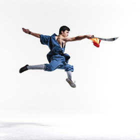 Wushu 4 — figure reference